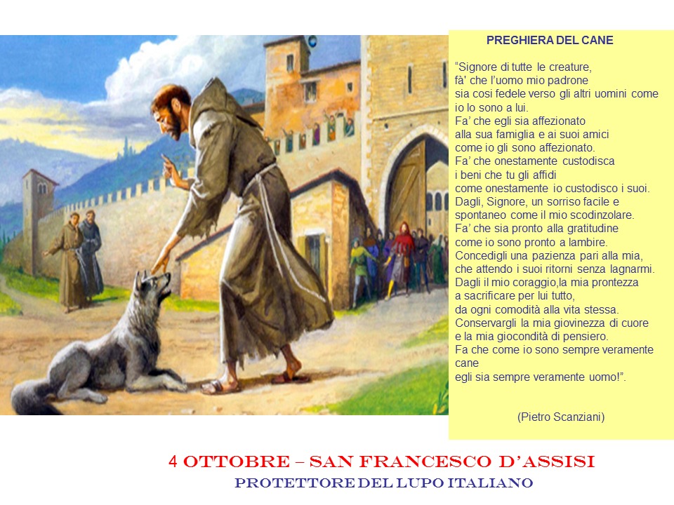 4 Ottobre San Francesco D Assisi Protettore Del Lupo Italiano Associazione Degli Affidatari Allevatori Del Cane Lupo Italiano